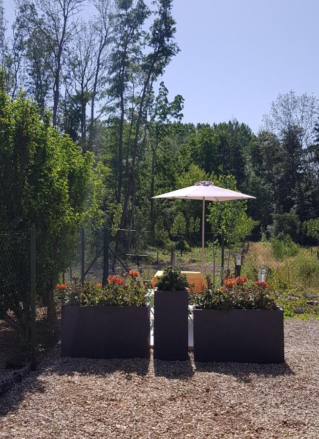 Agreable Petite Maison Proche Joigny Chamvres エクステリア 写真
